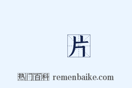 鱗片是什么意思的图片